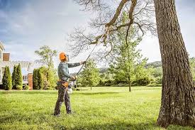 Best Storm Damage Tree Cleanup  in Portland, TX