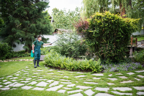 Best Organic Lawn Care Solutions  in Portland, TX