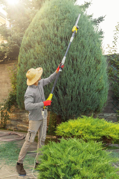 Best Tree Risk Assessment  in Portland, TX